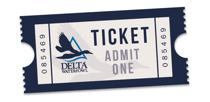 Ticket